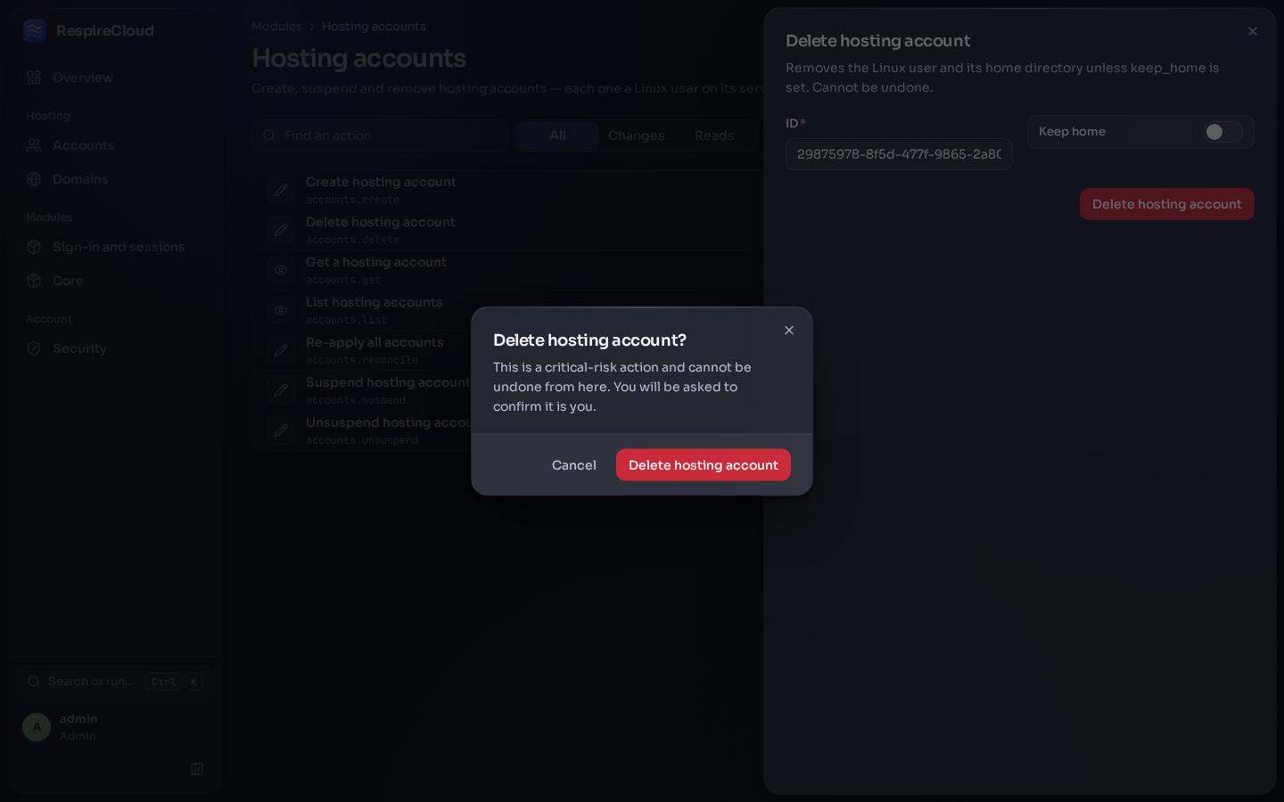 A confirmation dialog for deleting a hosting account, warning that it is a critical-risk action.